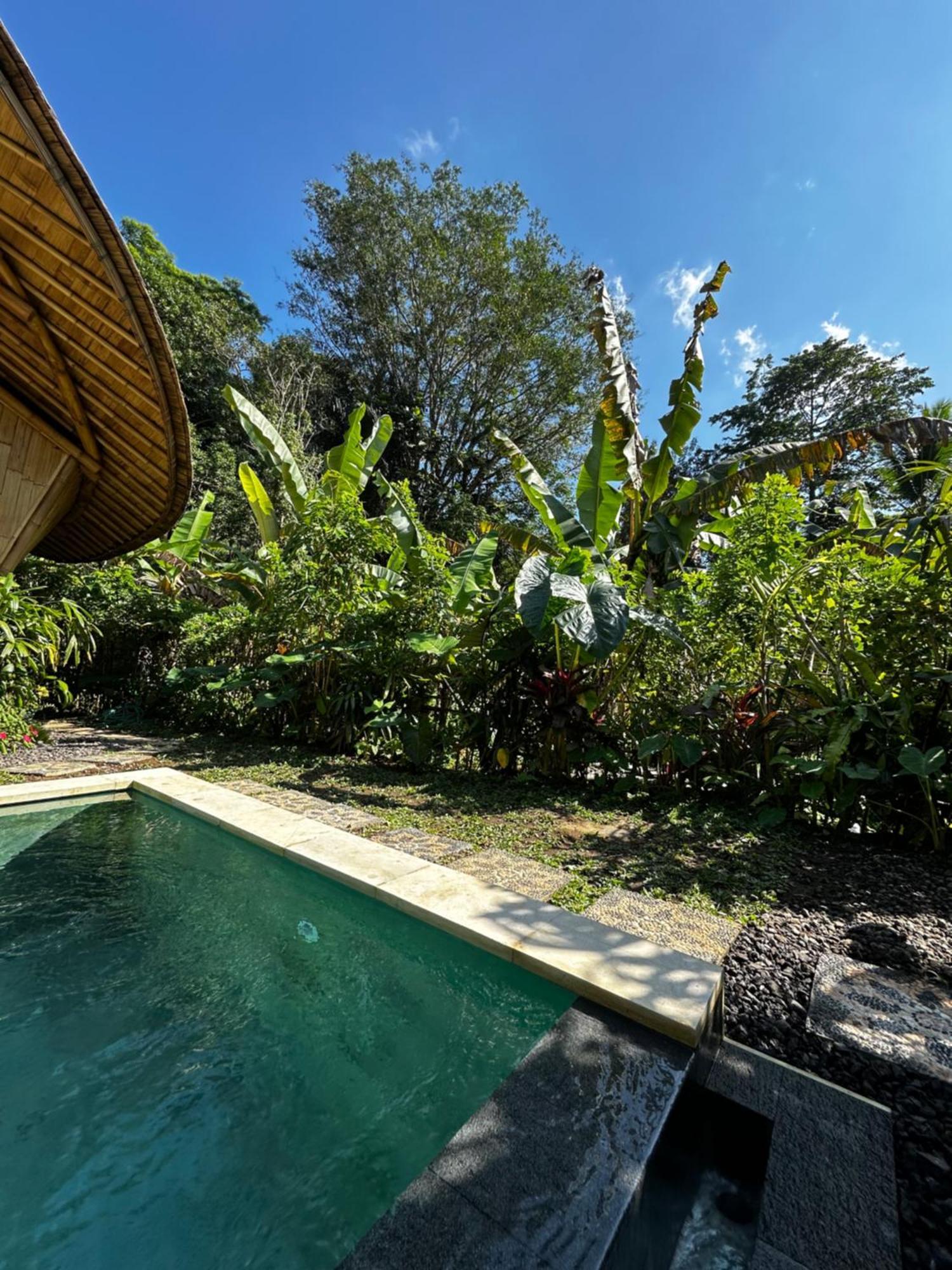 Bamboo House - Ecobreeze Villa Sidemen  Exterior photo