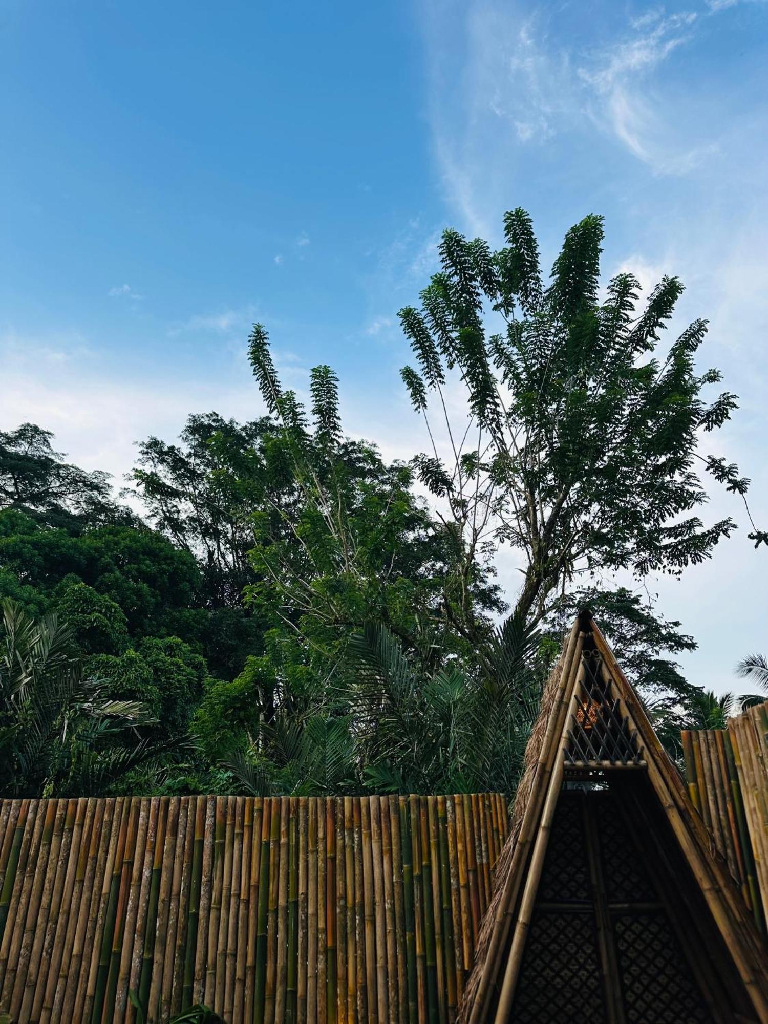 Bamboo House - Ecobreeze Villa Sidemen  Exterior photo
